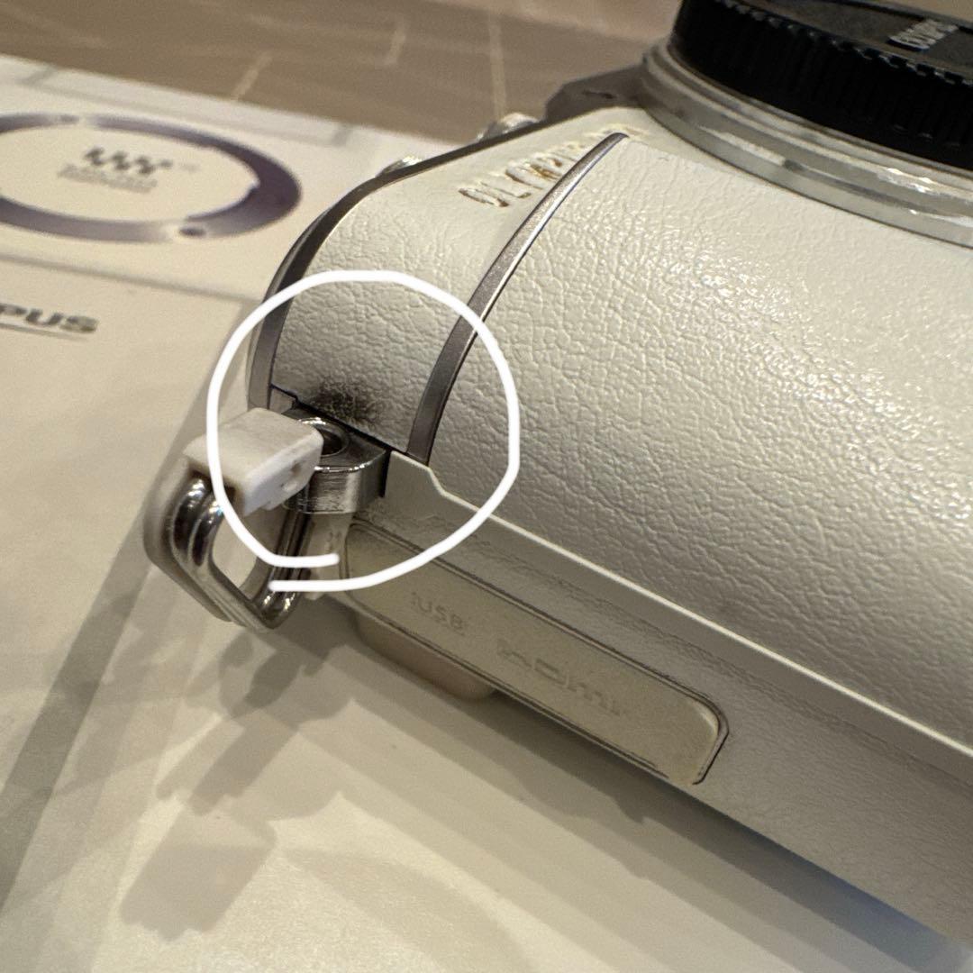 OLYMPUS PEN E-PL9 ダブルズームキット