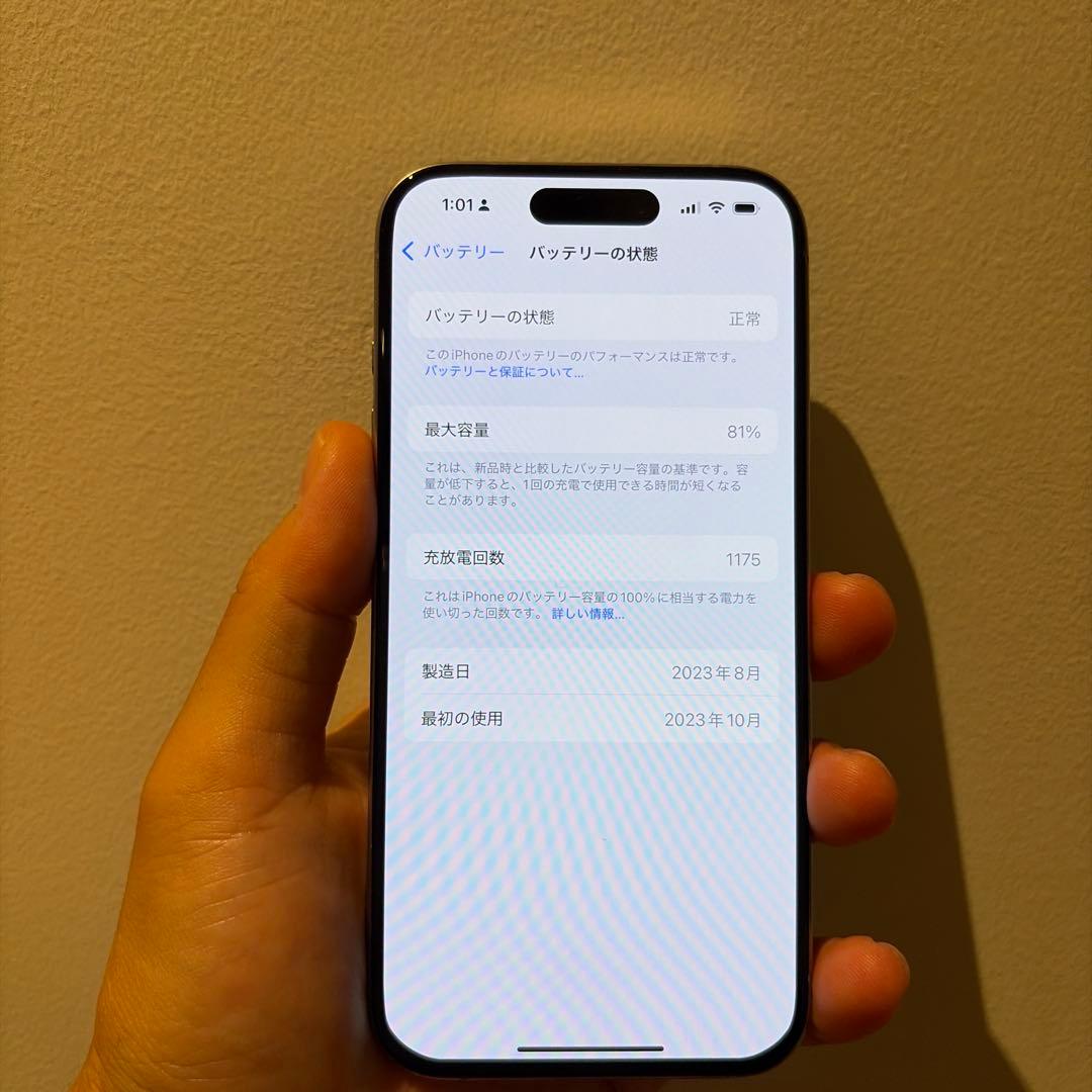 iPhone 15 Pro 256GB SIMフリー+Casetify