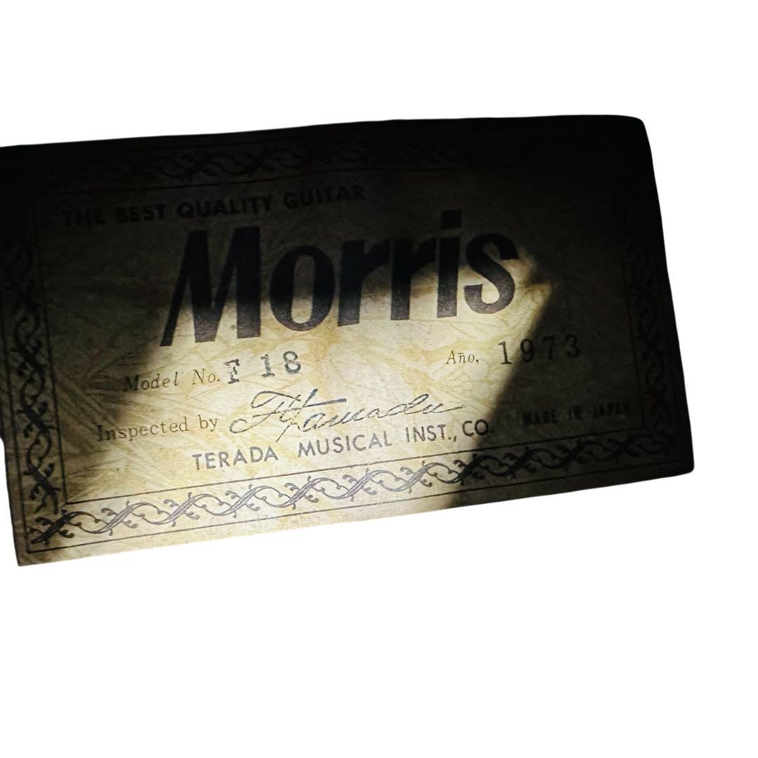 morris モーリス　アコースティックギター　F18