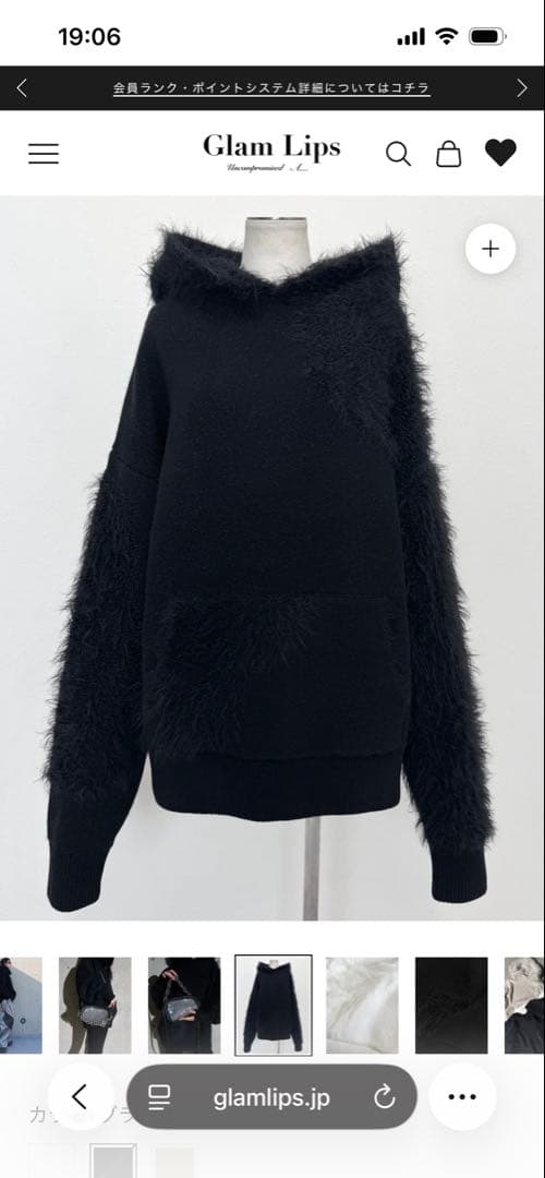 gram lips グラムリップス　シャギードッキングニットフーディ