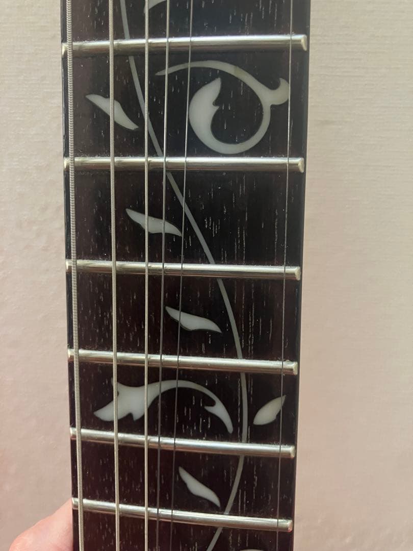 Ibanez/JEMJRSP-PK スティーヴ・ヴァイ