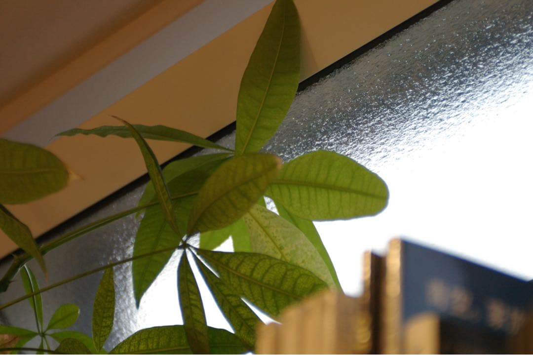 PENTAX ist DS CCDデジタル一眼レフ 28-105㍉レンズ　動作品