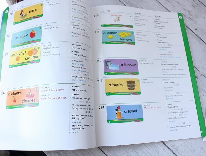 DWE 21年購入 トークアロング プレイメイトエアー Q&Aセット