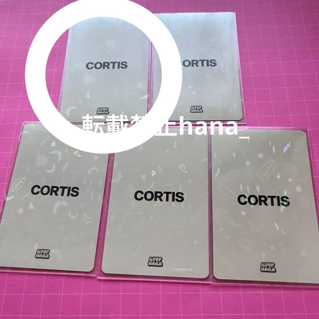 cortis アメリカ ファンサイン限定 マーティン トレカ 公式 コルティス