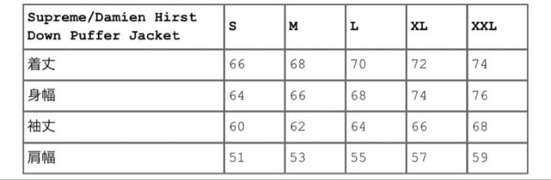 ジャケット・アウター Supreme Damien Hirst Down Puffer Jacket