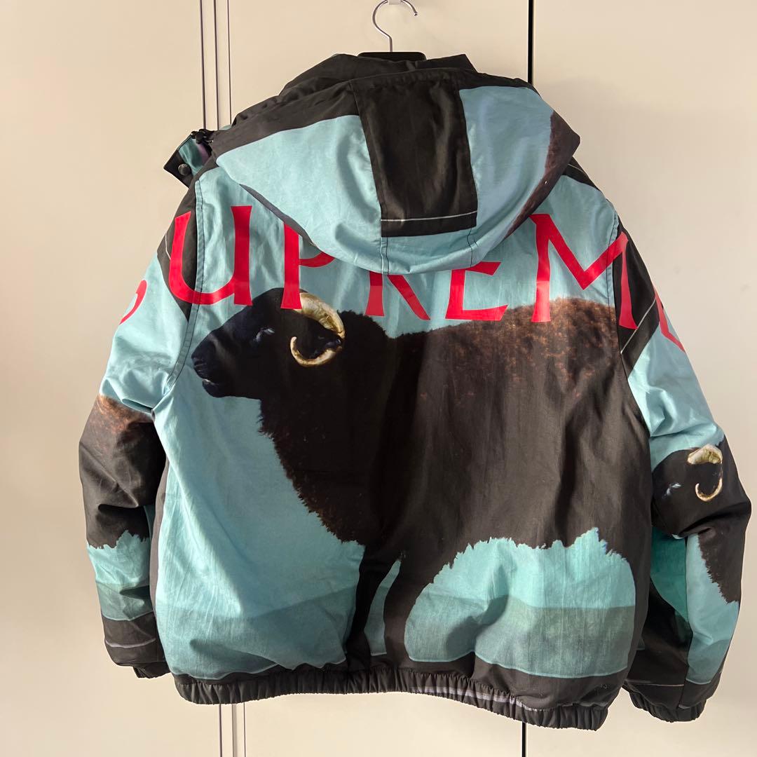 ジャケット・アウター Supreme Damien Hirst Down Puffer Jacket