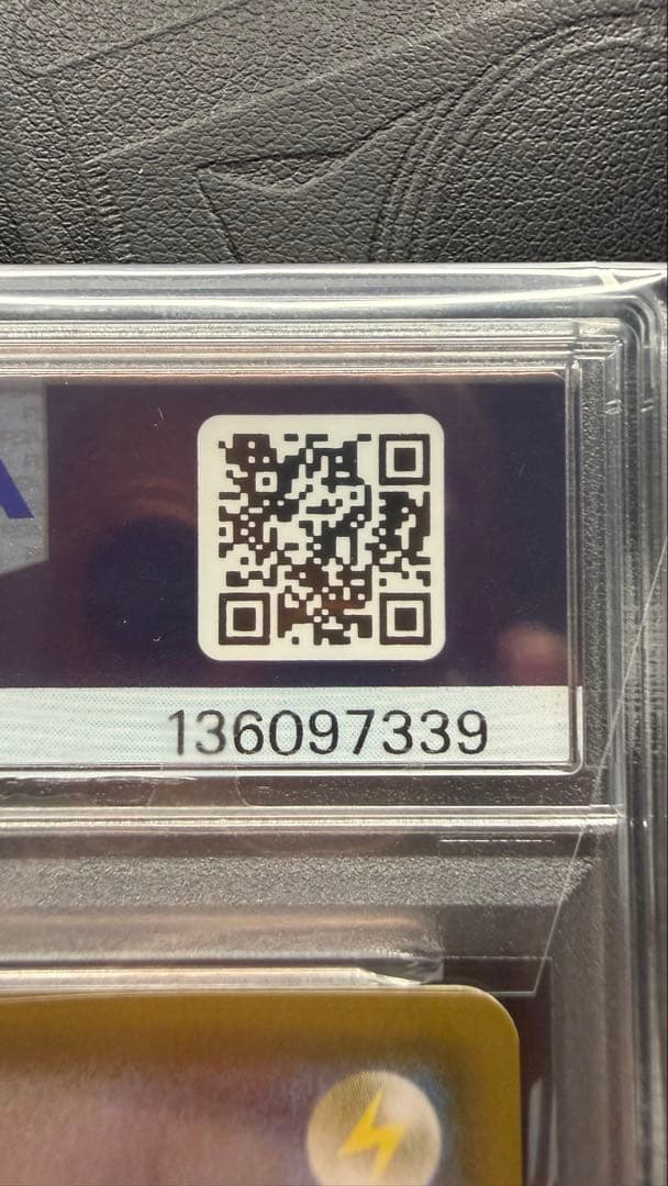 ジュラルドンV SA PSA10