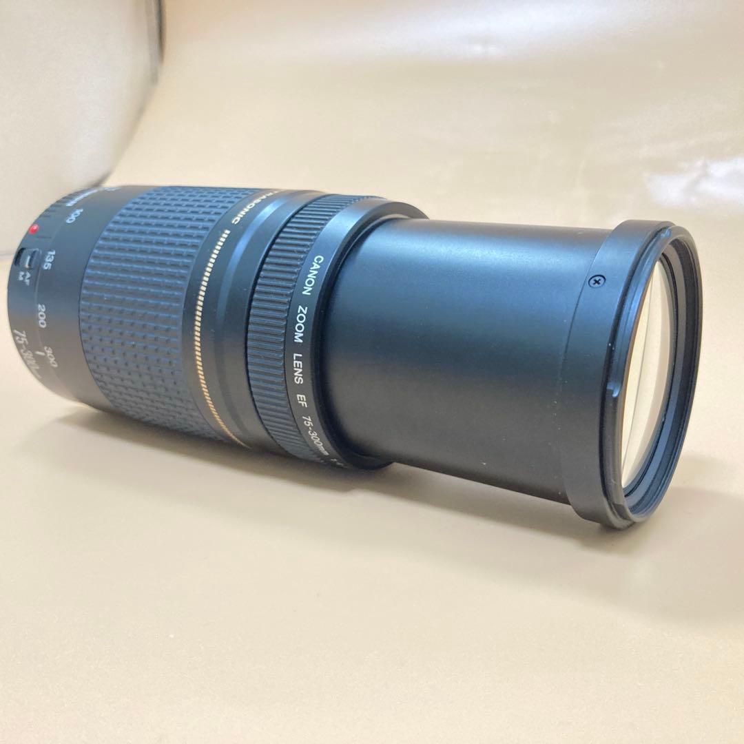 ◻︎完動品◻︎CANON EF 75-300mm II USM デジタル一眼レフ