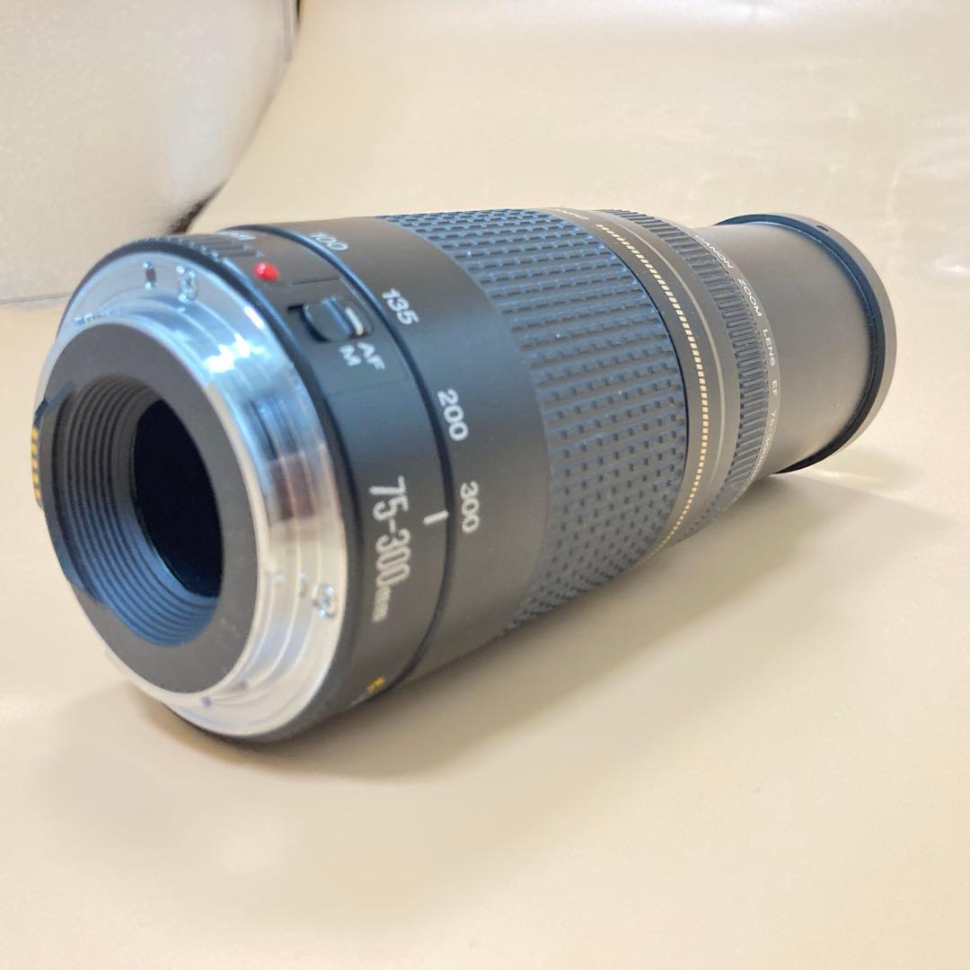◻︎完動品◻︎CANON EF 75-300mm II USM デジタル一眼レフ