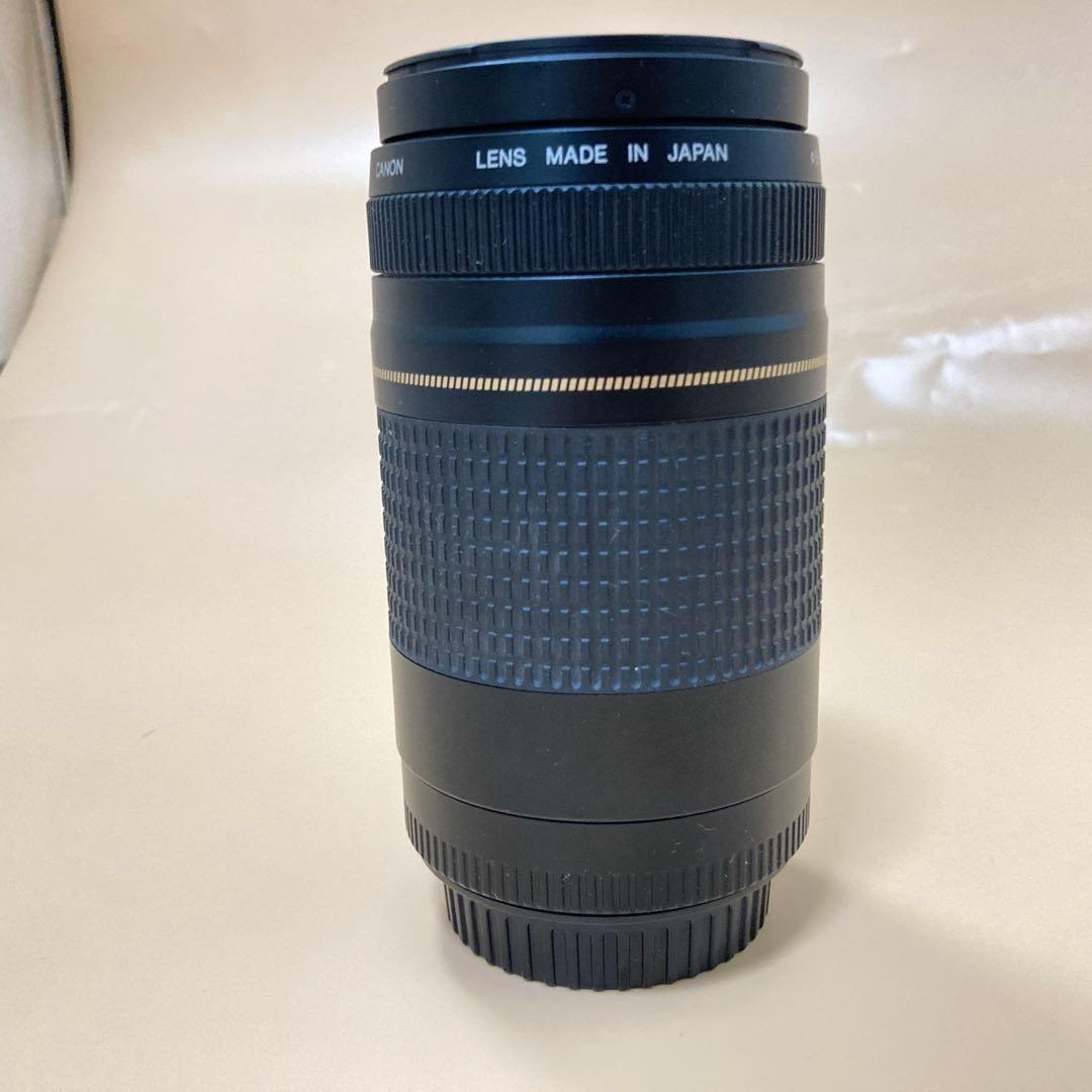 ◻︎完動品◻︎CANON EF 75-300mm II USM デジタル一眼レフ