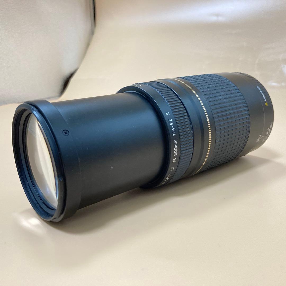 ◻︎完動品◻︎CANON EF 75-300mm II USM デジタル一眼レフ