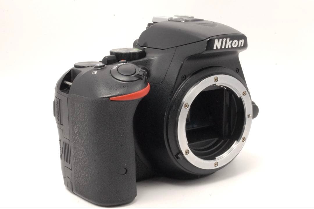 ✨美品✨Nikon D5500 バリアングル液晶 初めてのカメラに 動作良好◎