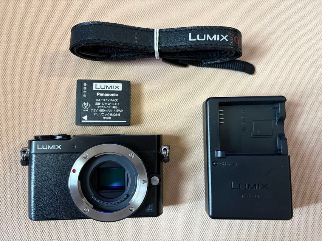 Panasonic パナソニック LUMIX DMC-GM5（ブラック）