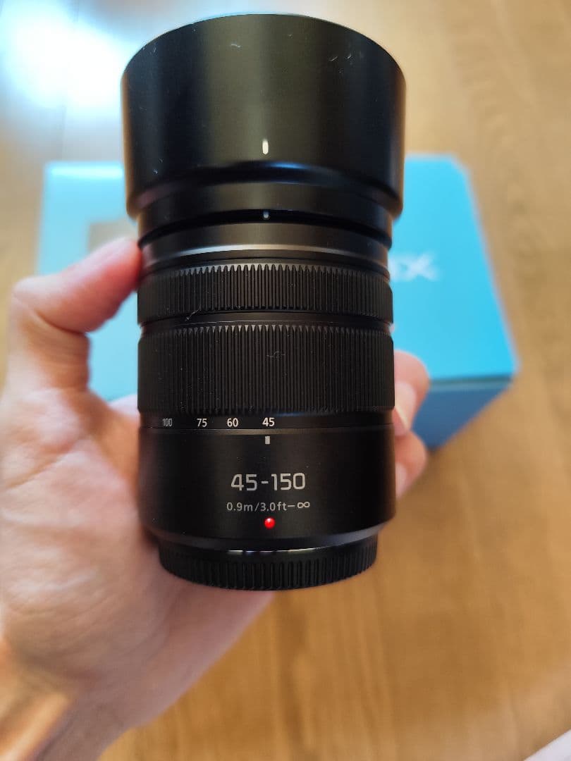 Panasonic Lumix G100D ダブルズームキット