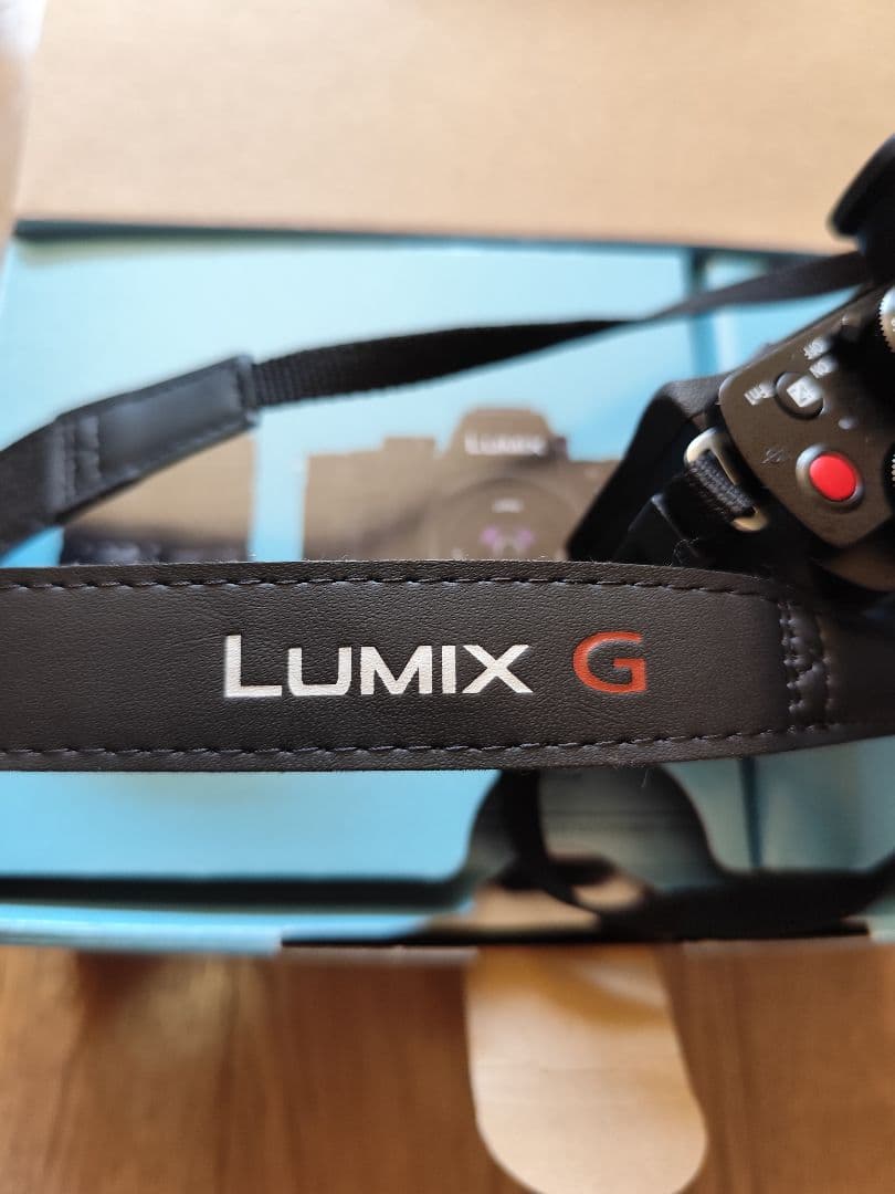 Panasonic Lumix G100D ダブルズームキット