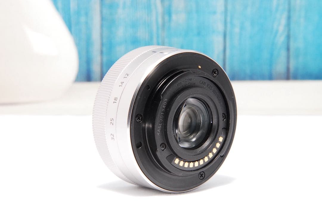 【ショット数611回】LUMIX GF9 SNS Wi-Fi チルト ミラーレス