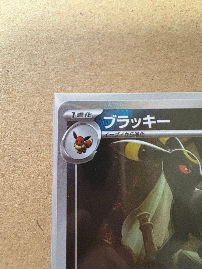 マスターボールミラー ブラッキー テラスタルフェスex マスボ