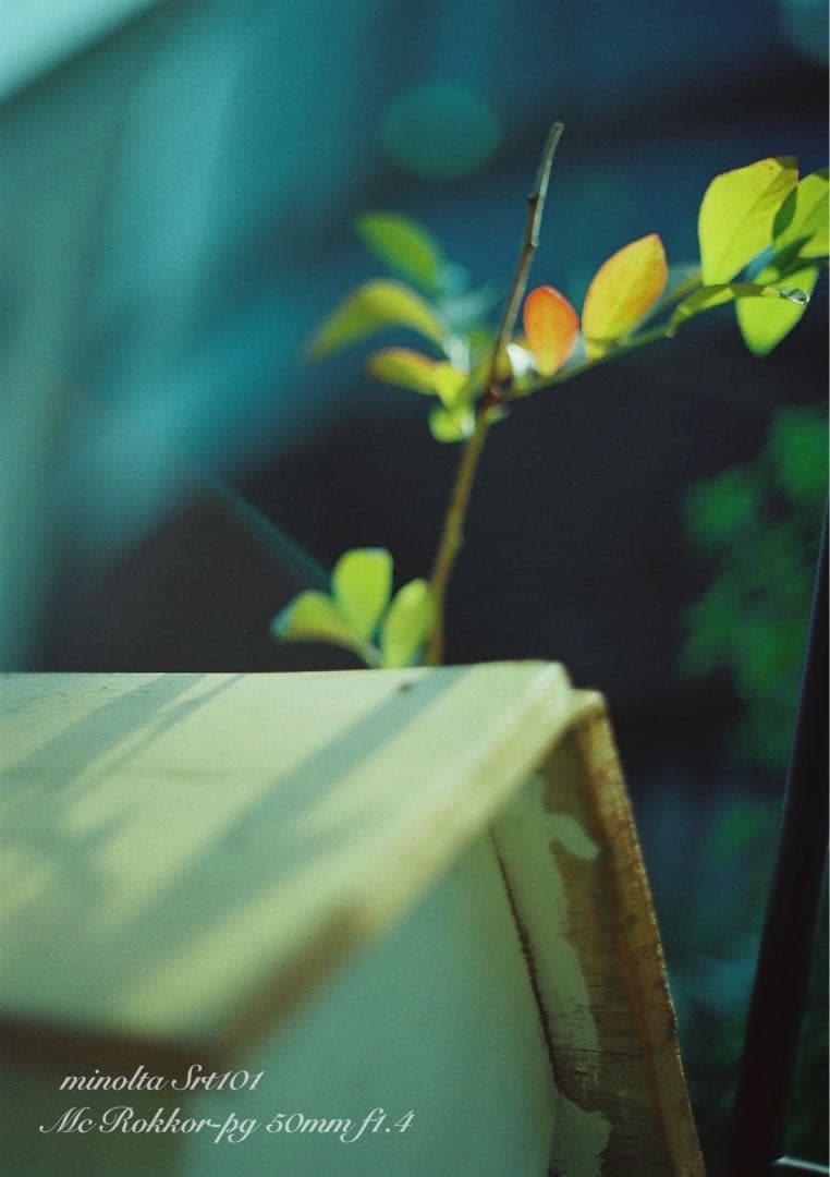 ★超美品・完動品★ミノルタsrt 101／翠のロッコールf1.4★初期保証