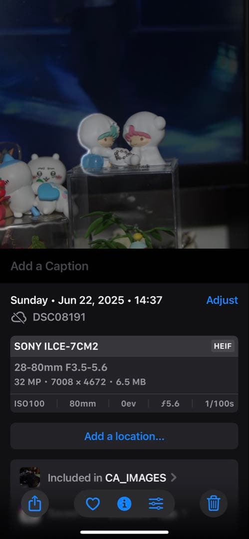 Sony Minolta AF A マウント　レンズ　7まとめ　作例