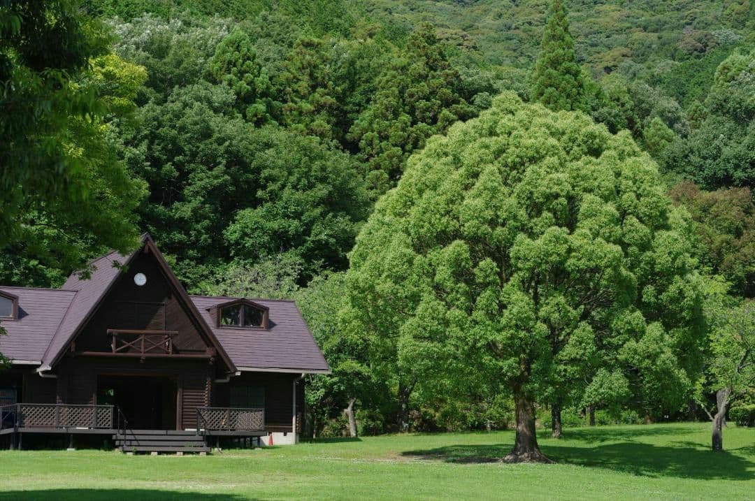 レンズ(単焦点) smc PENTAX-DA 50mmF1.8