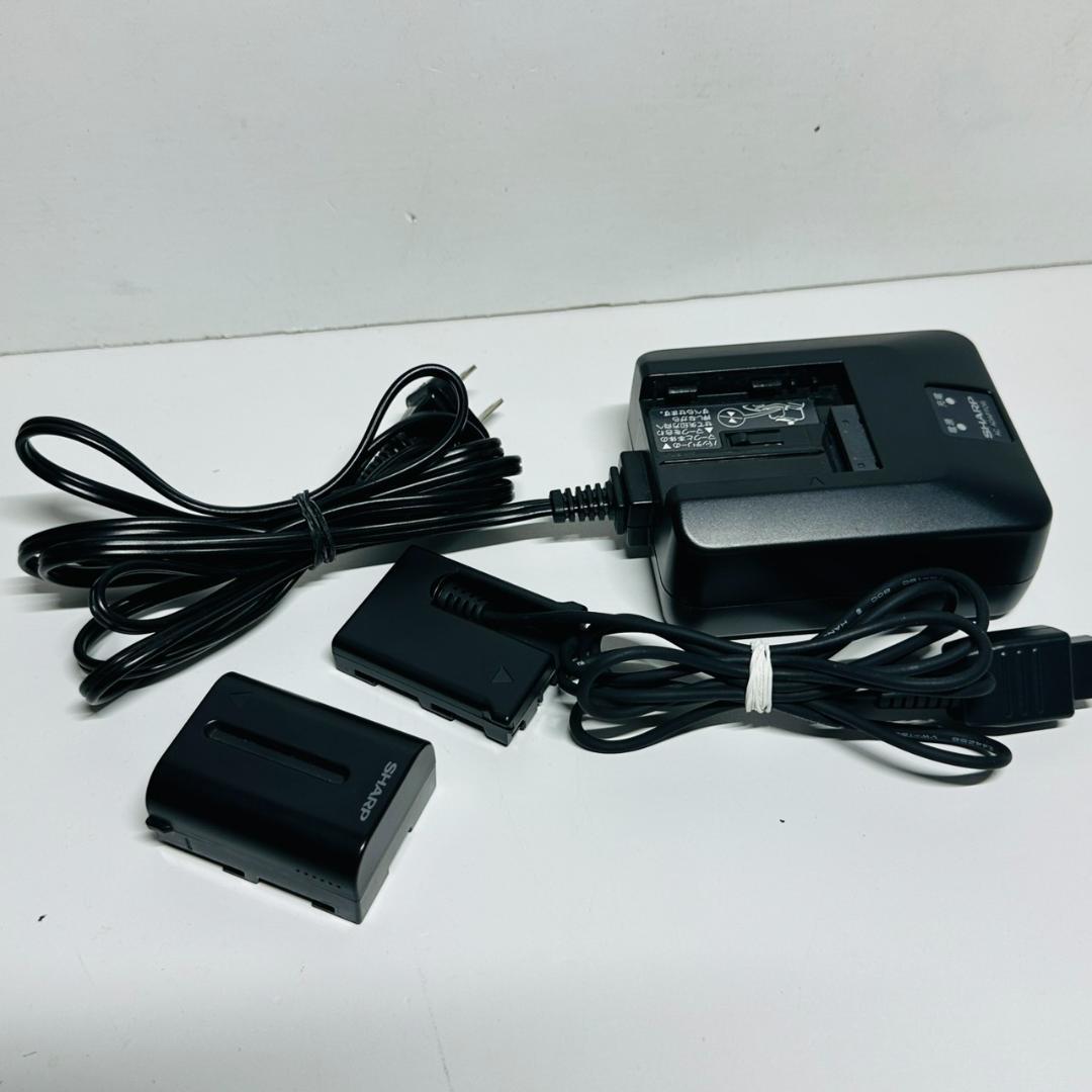 動作OK SHARP シャープ VL-G1K ビデオカメラ