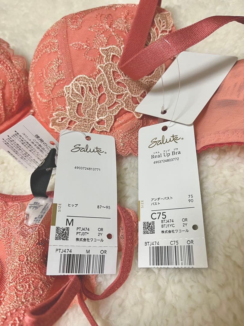 ⭐️専用⭐️ ワコール　サルート　ブラショーツセット　C75 M