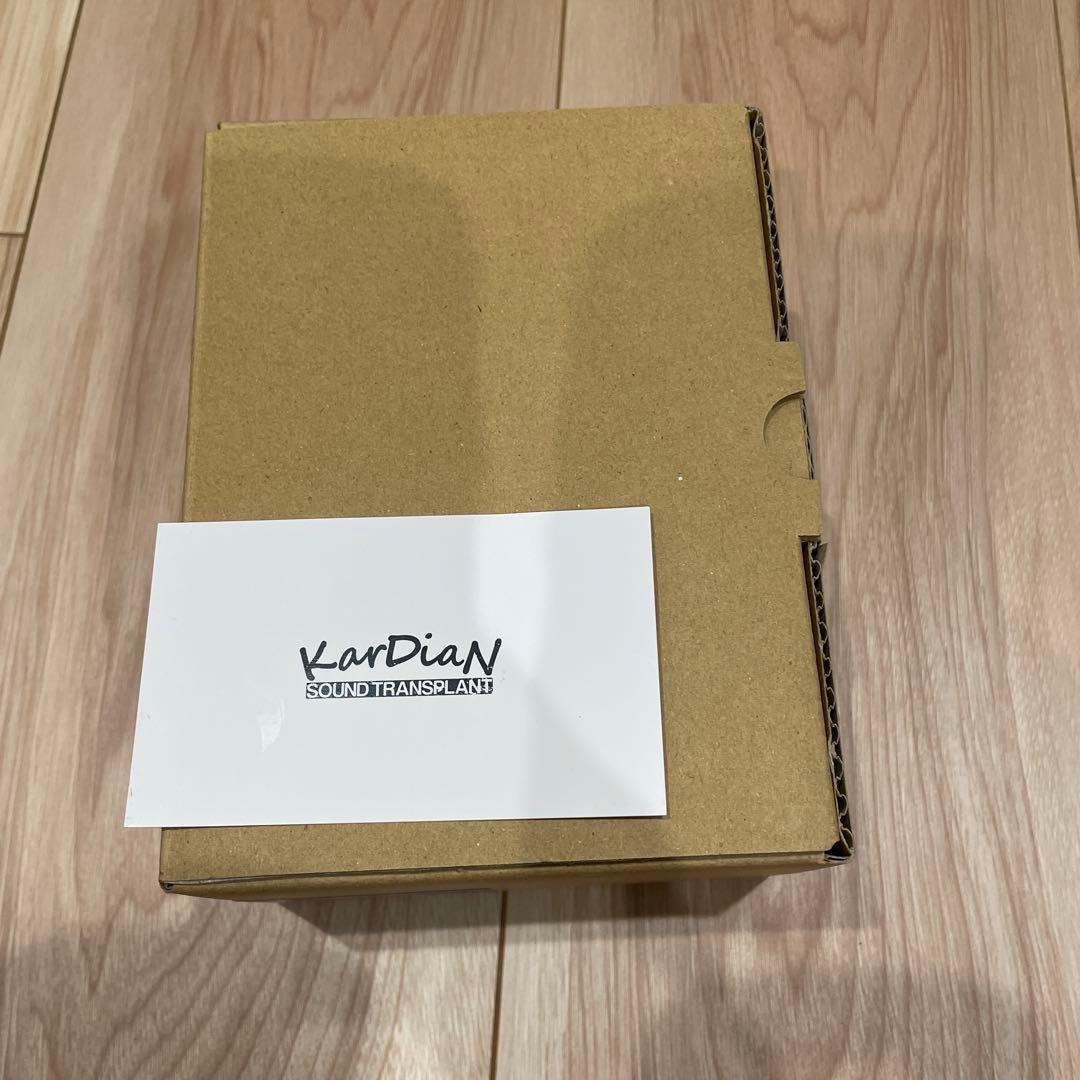 ギター kardian vitamin c super lucky 7 ADD CBF