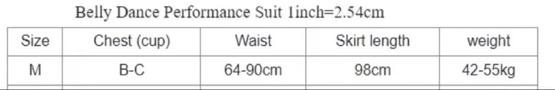 ベリーダンス セットアップ 水色