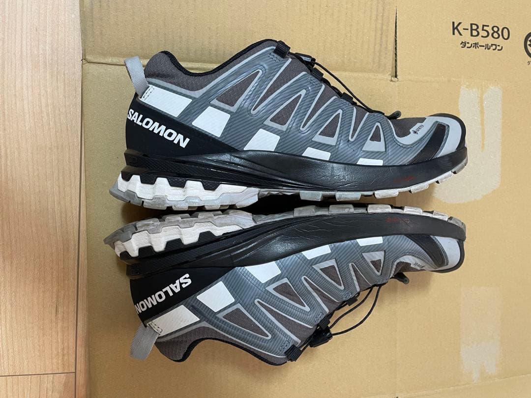 靴 SALOMON XA PRO 3D GTX V8
