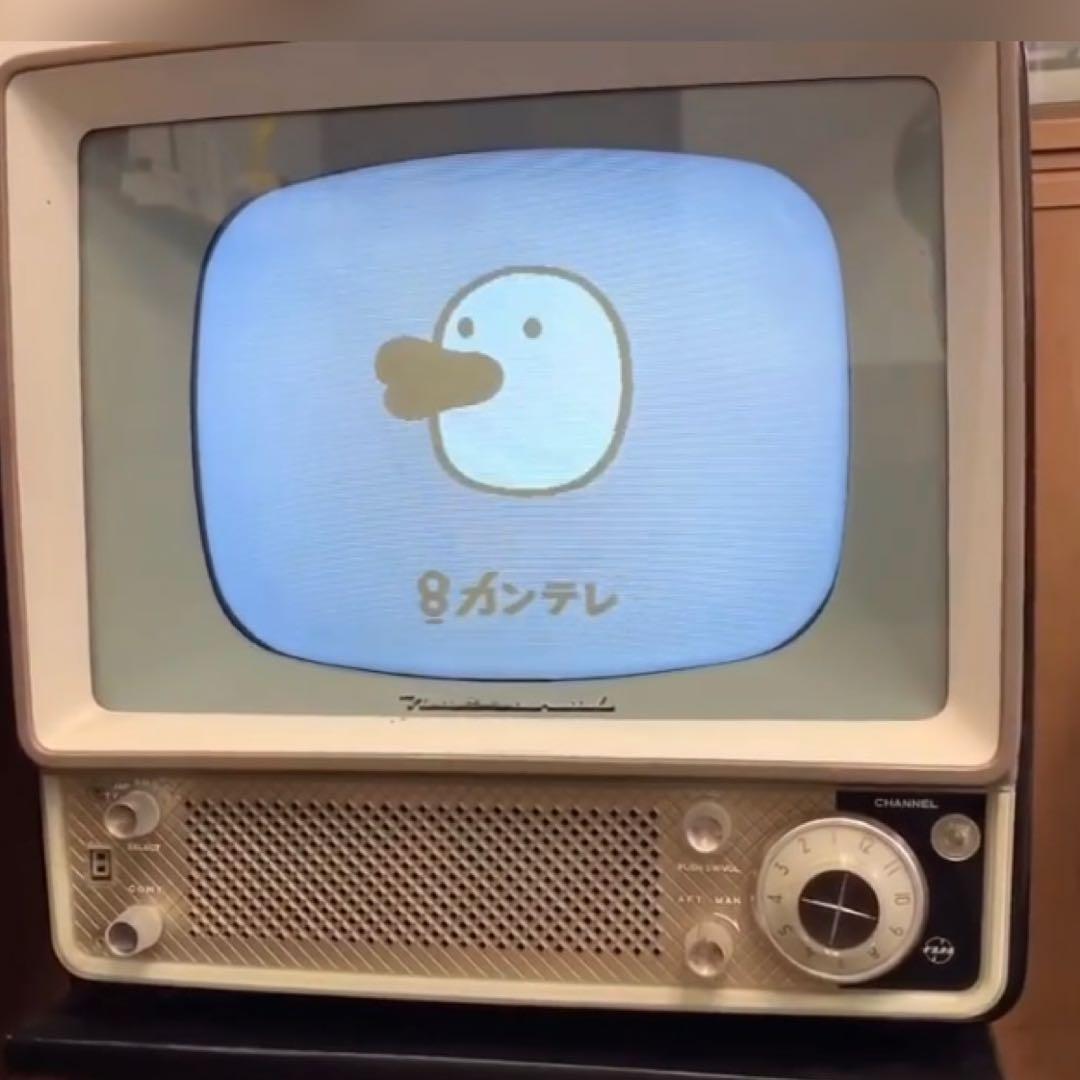 整備済み(地デジ対応) ナショナル ブラウン管テレビ 白黒テレビ 昭和レトロ