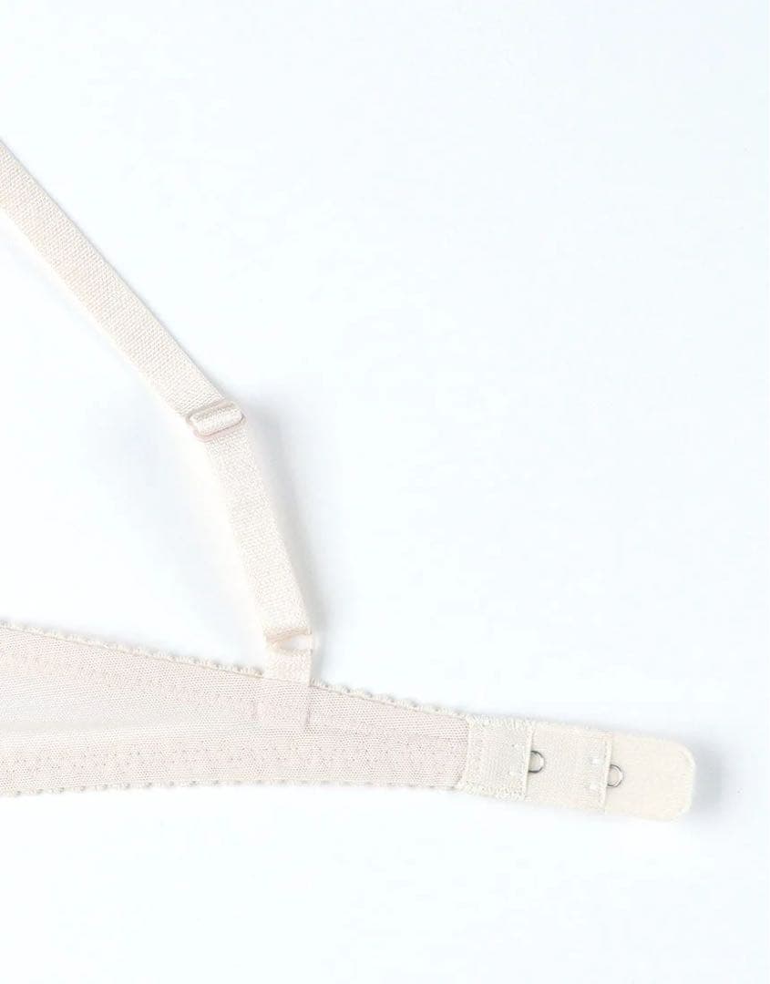 サルート　限定品　グループ29 d70