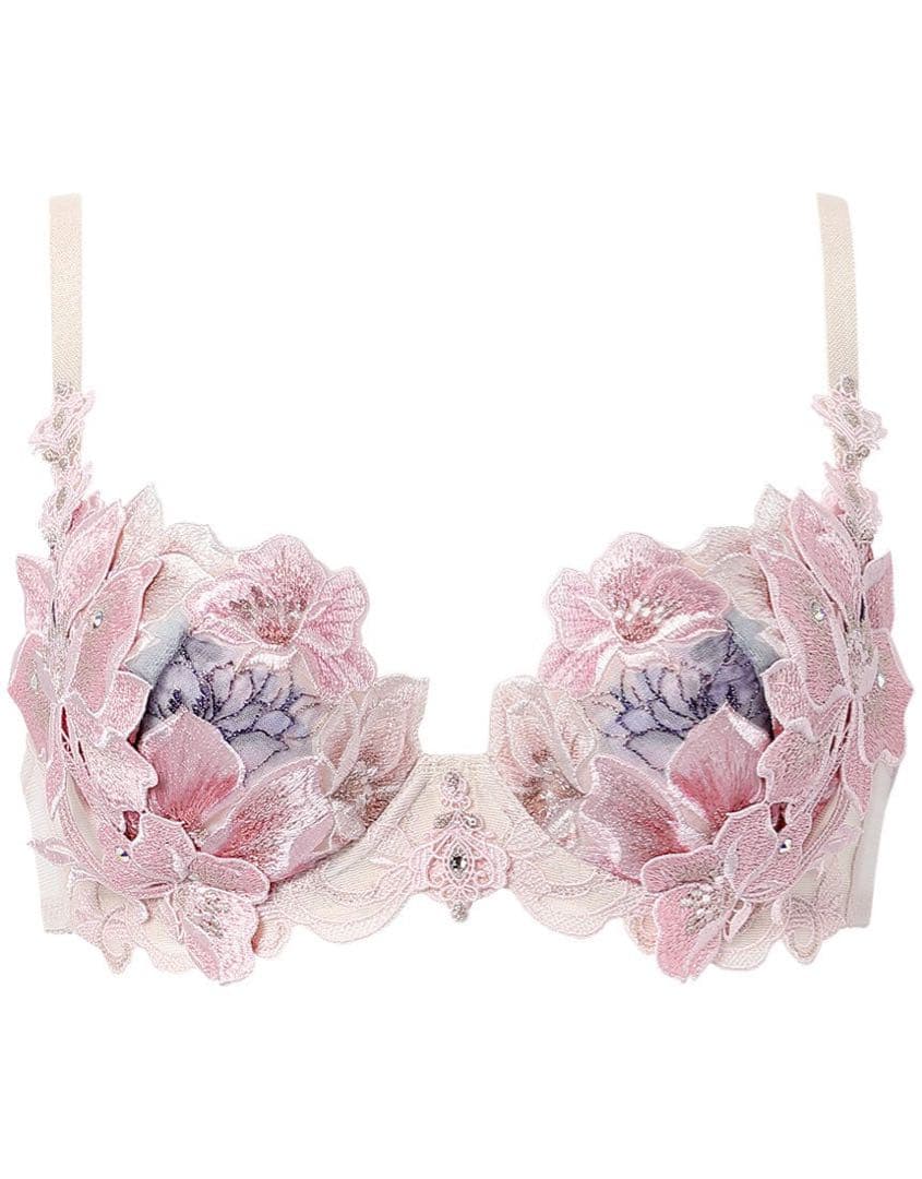 サルート　限定品　グループ29 d70