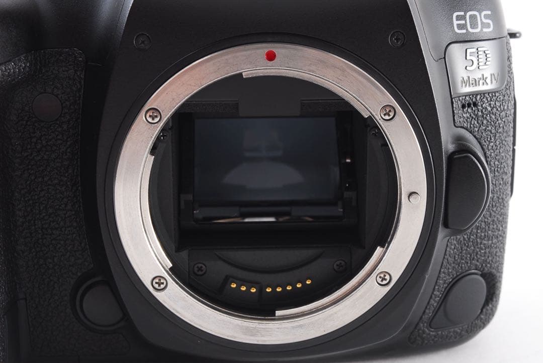 保証付き キヤノン CANON EOS 5D Mark Ⅳ デジタル一眼カメラ