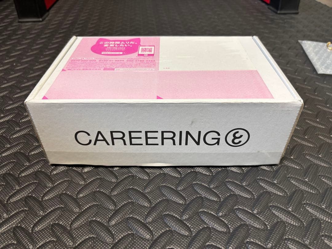 CAREERING PLACEBO 501（YW）