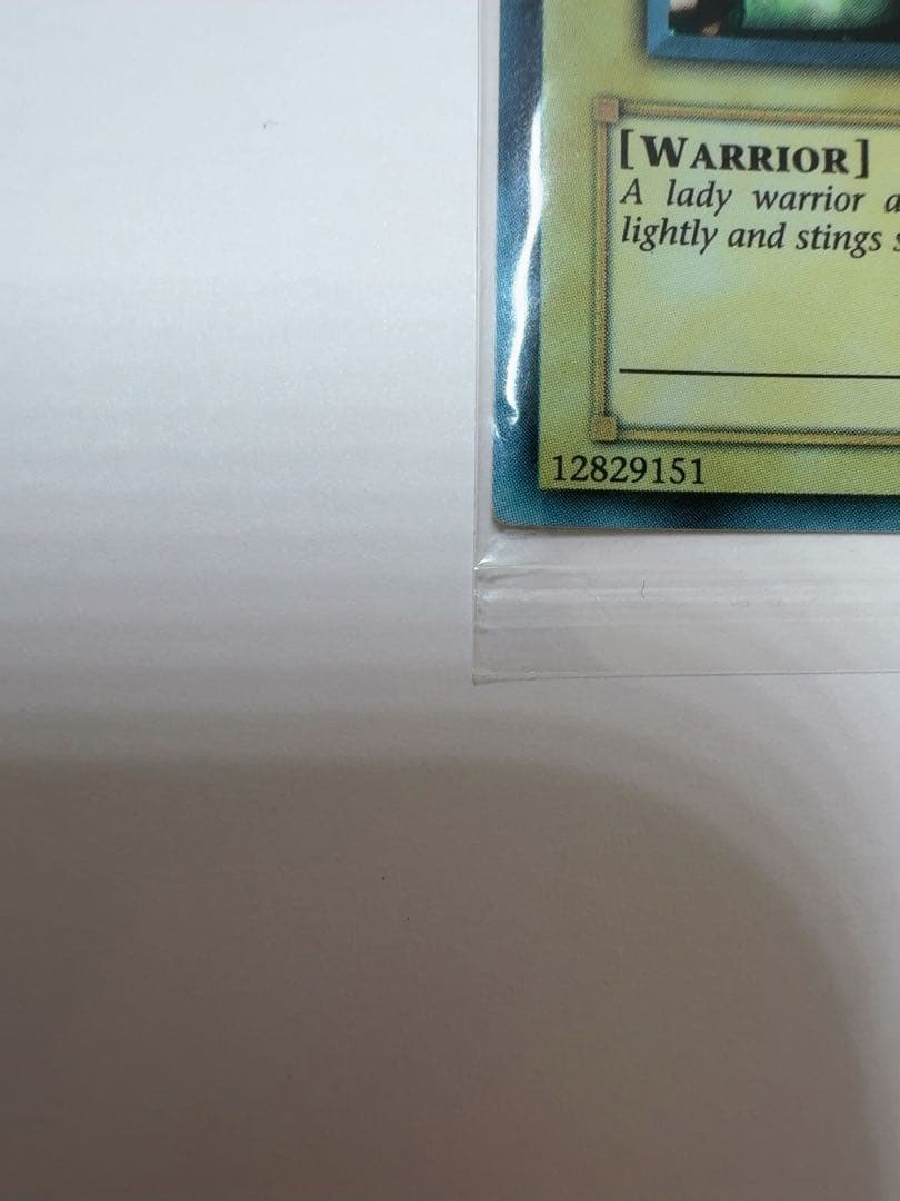 遊戯王 女剣士カナン　WCS-001 未開封 配布1600枚