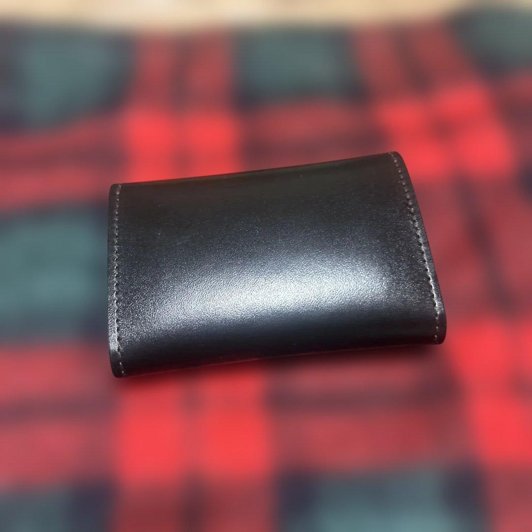 ワイルドスワンズ　ポント　サドルブラック