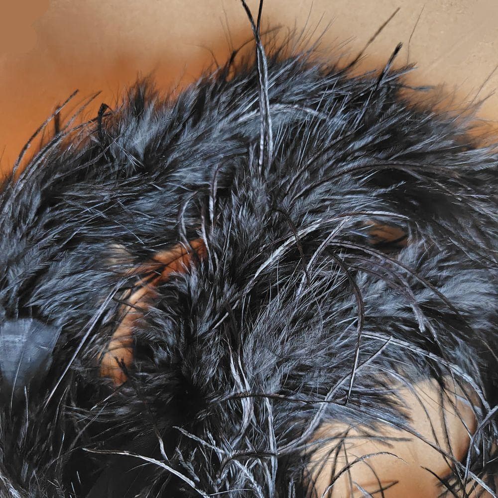 あやめ★オーストリッチ 羽毛