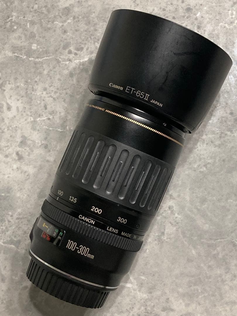 ⭐️完動品⭐️キャノン Canon EF 100-300mm 4.5-5.6 USM