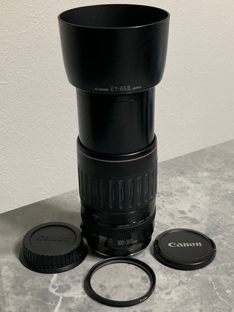 ⭐️完動品⭐️キャノン Canon EF 100-300mm 4.5-5.6 USM