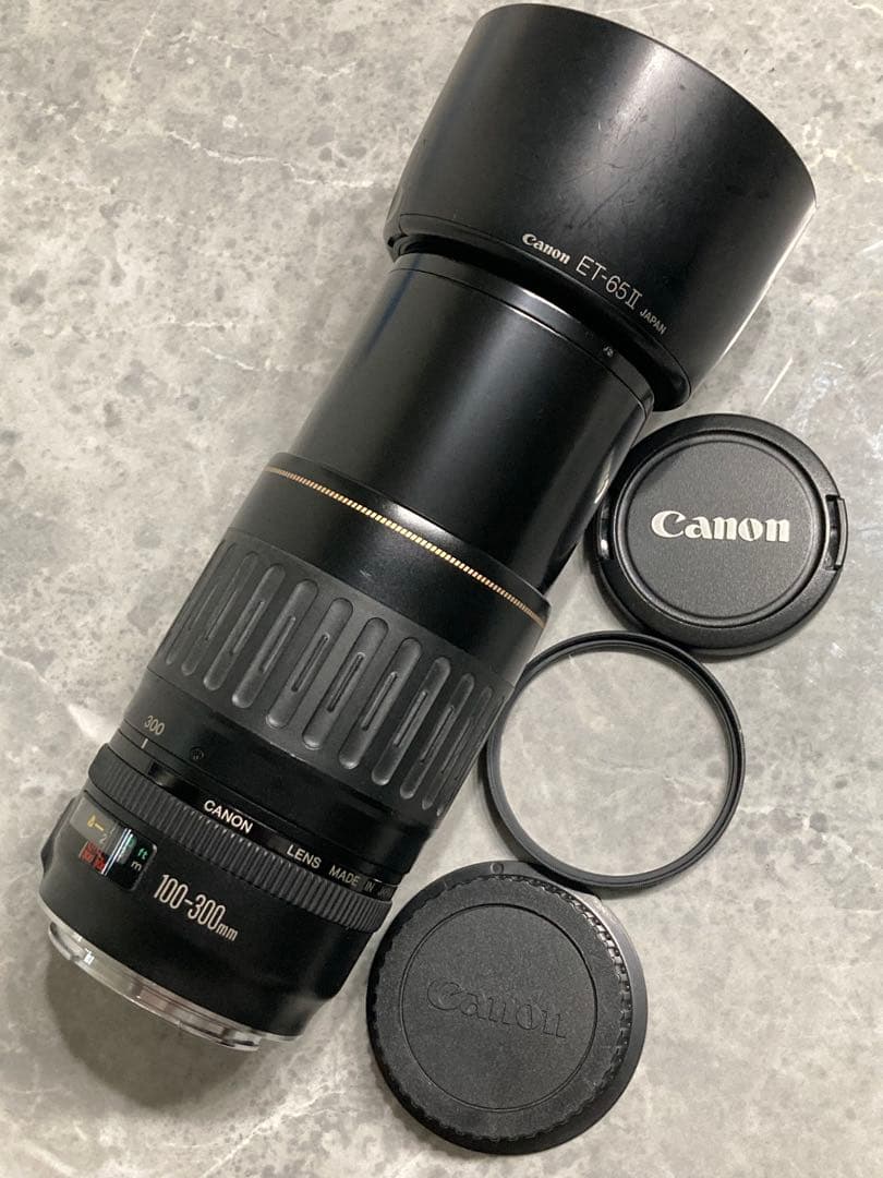 ⭐️完動品⭐️キャノン Canon EF 100-300mm 4.5-5.6 USM