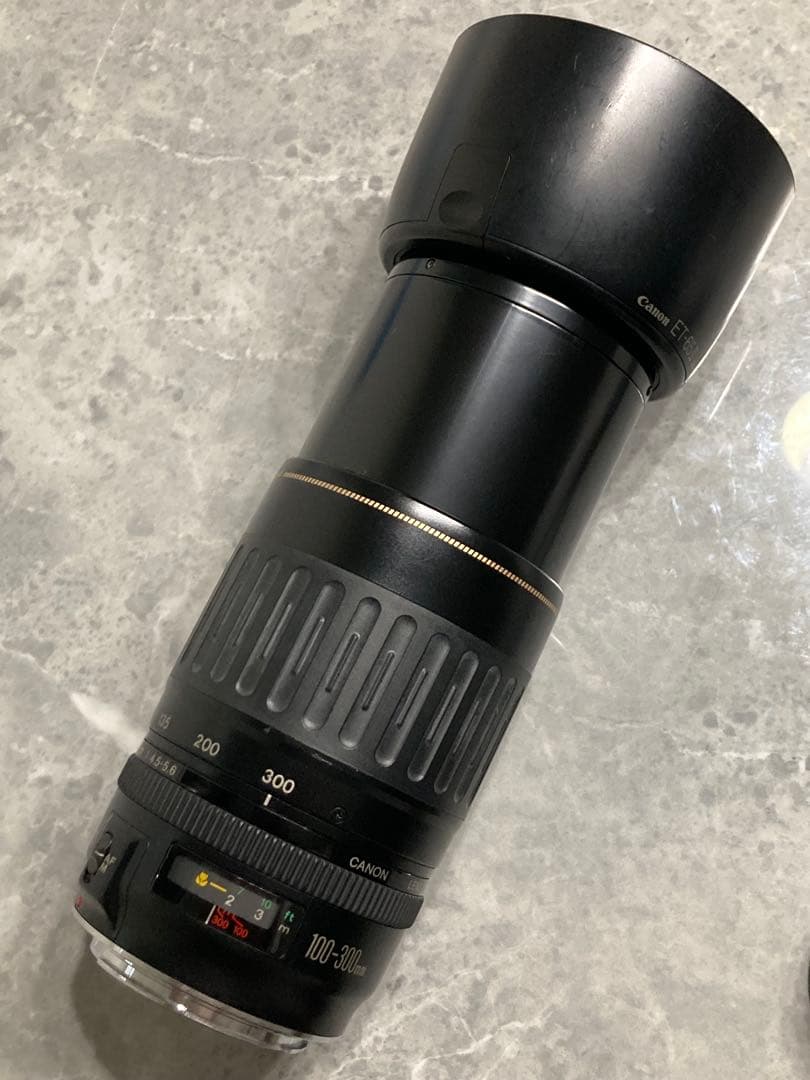 ⭐️完動品⭐️キャノン Canon EF 100-300mm 4.5-5.6 USM