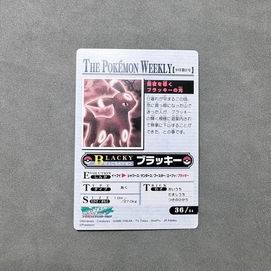 【ハーブ】ポケモンウィークリー　闇夜を導くブラッキーの光