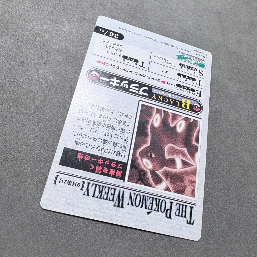 【ハーブ】ポケモンウィークリー　闇夜を導くブラッキーの光