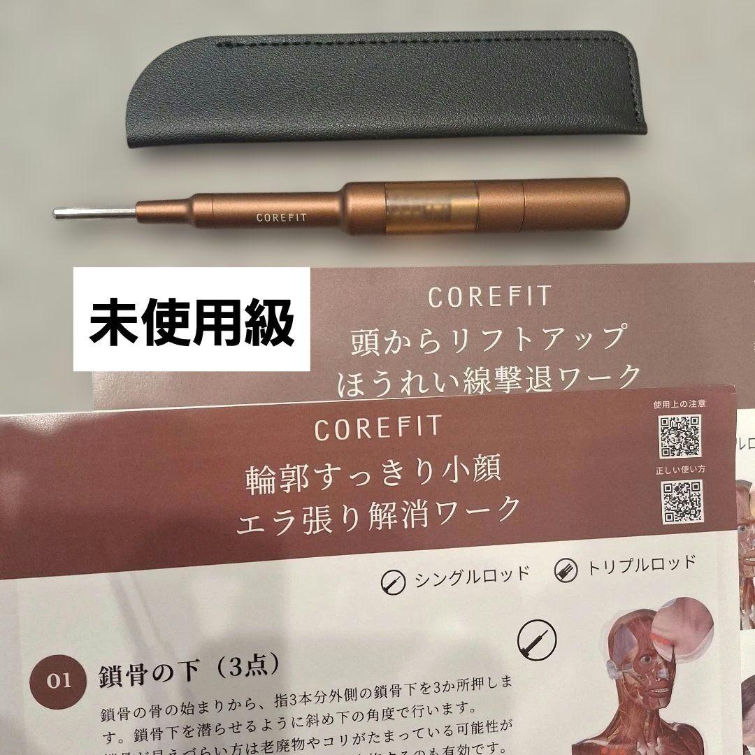 未使用級☆ケース付 CORE FIT フェイスポインター 小顔ケア 動作確認済