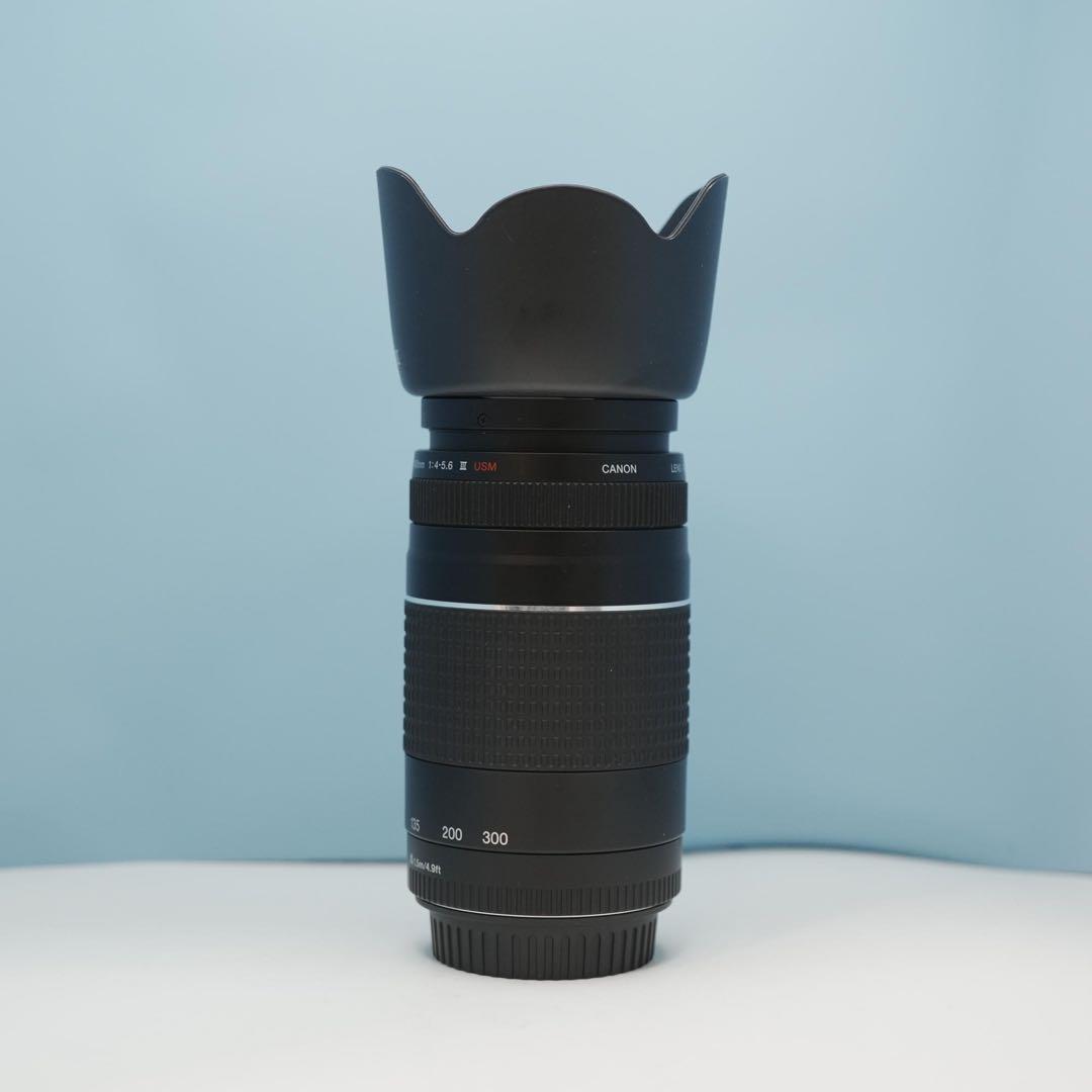 Canon純正 75-300mm 望遠レンズ 美品 a4439