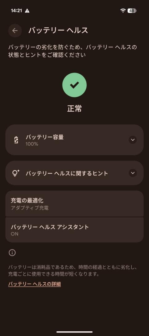 GooglePixel 9 Pro Fold【黒/512GB/SIMフリー】本体