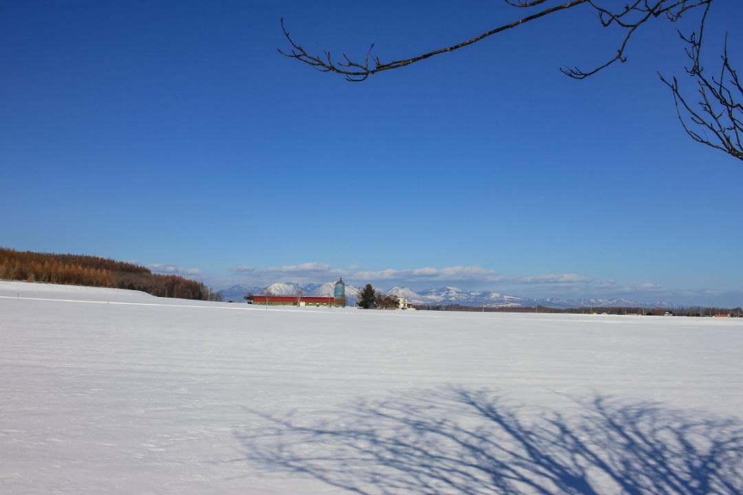 Canon EF-S 24mmF2.8 STM MACRO 単焦点APS-C専用