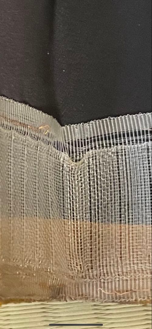 Odページ　☆送料込み☆ 金華山　チンチラゴールド　仮眠カーテン