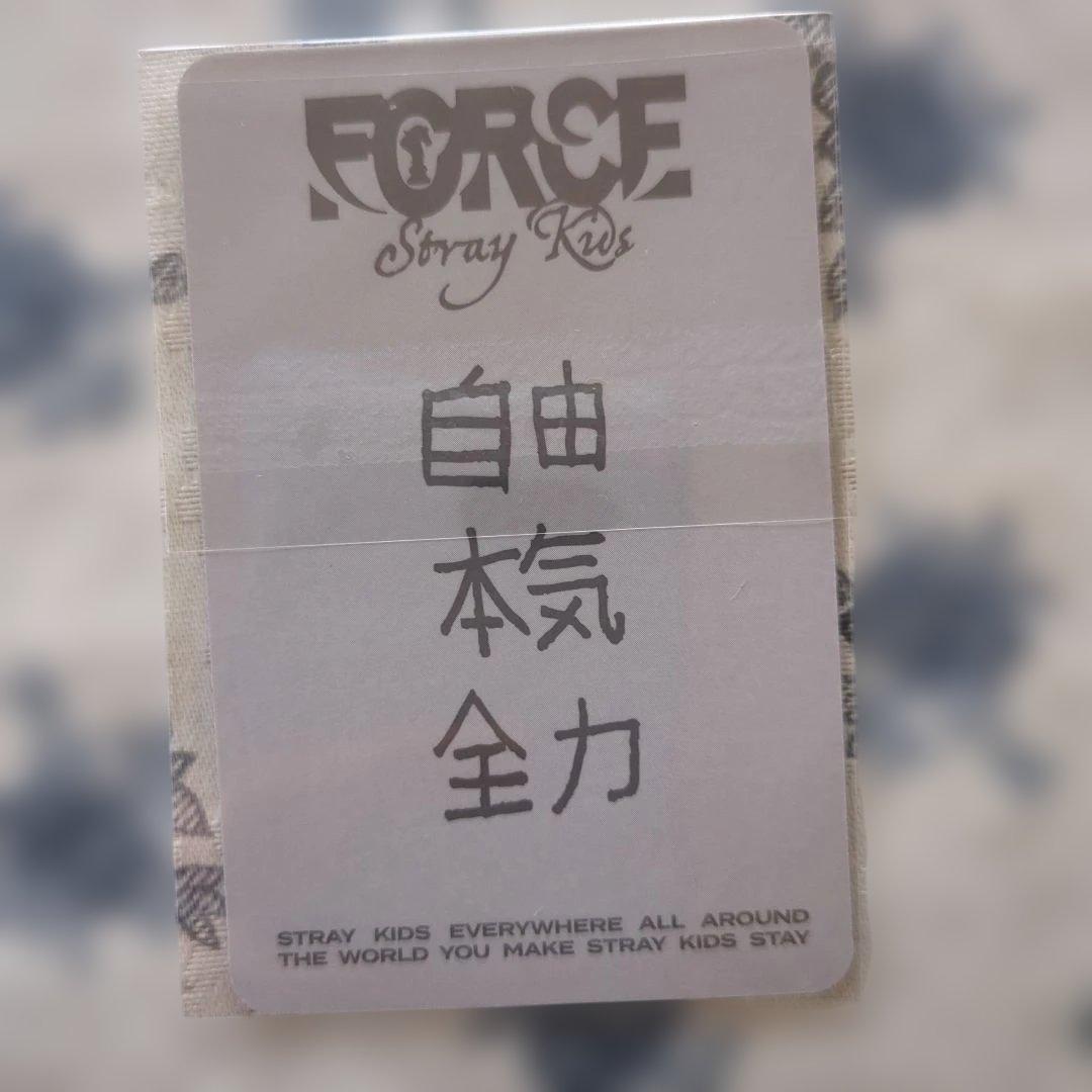 スキズシーグリ2026 FC特典トレカ　ヒョンジン　チャンビン