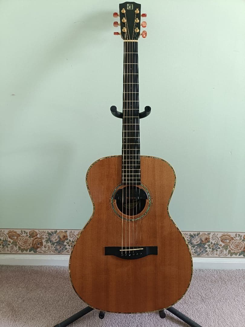 Ayers OSR アコースティックギター